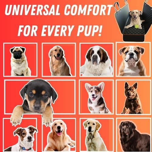 dog car seat cover how to use