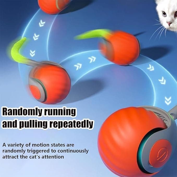 interactive cat toy in use