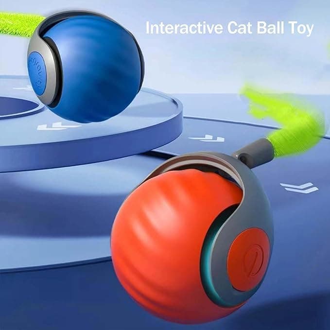 interactive cat toy key features