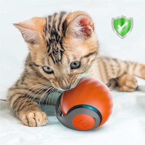 interactive cat toy how to use