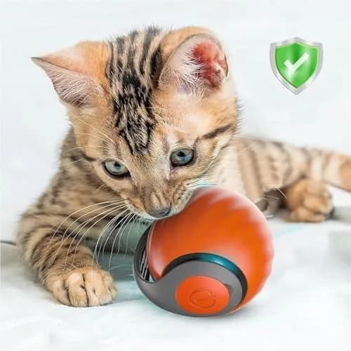 comment allumer et utiliser le jouet interactif pour chat