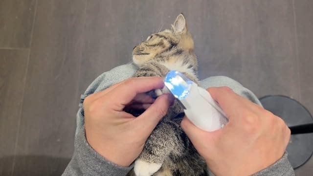 dog nail clipper and grinder package contents