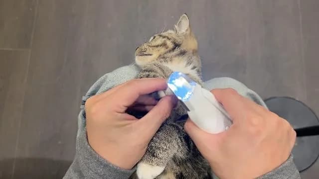狗狗指甲剪磨甲器与充电线包装内容