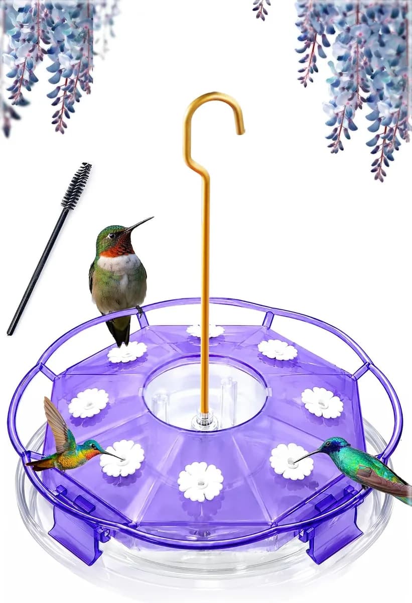 saucer hummingbird feeder in clear amethyst