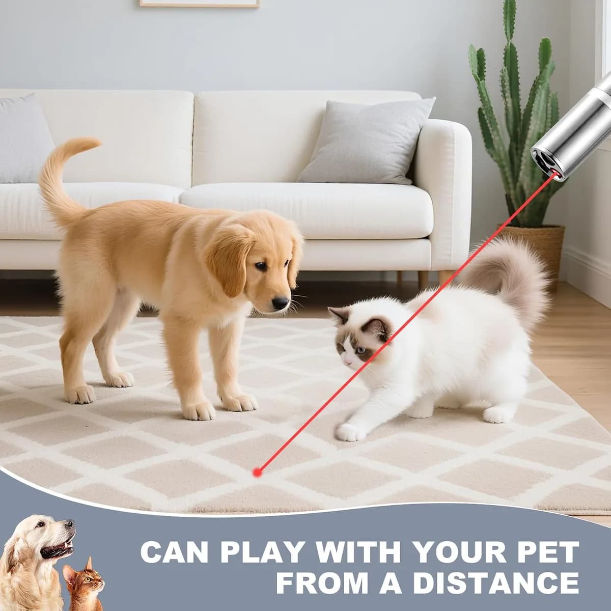 dog and cat chasing a cat laser pointer toy