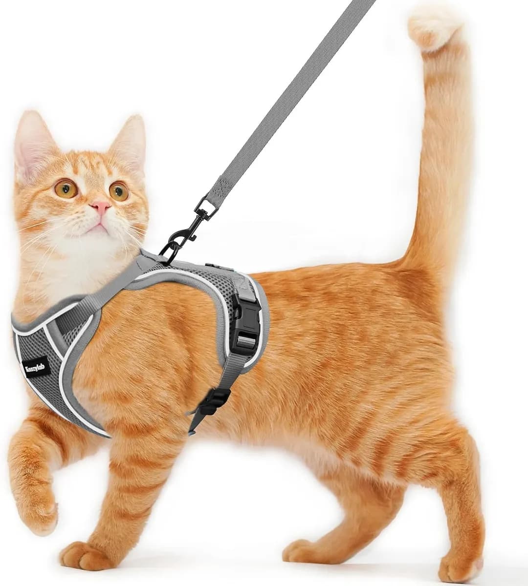 escape-proof cat harness and leash in grey