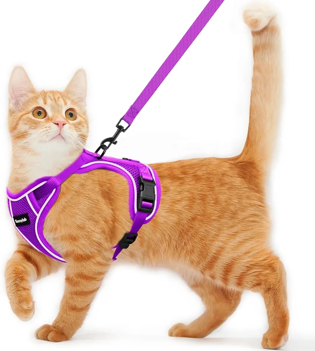 escape-proof cat harness and leash in purple