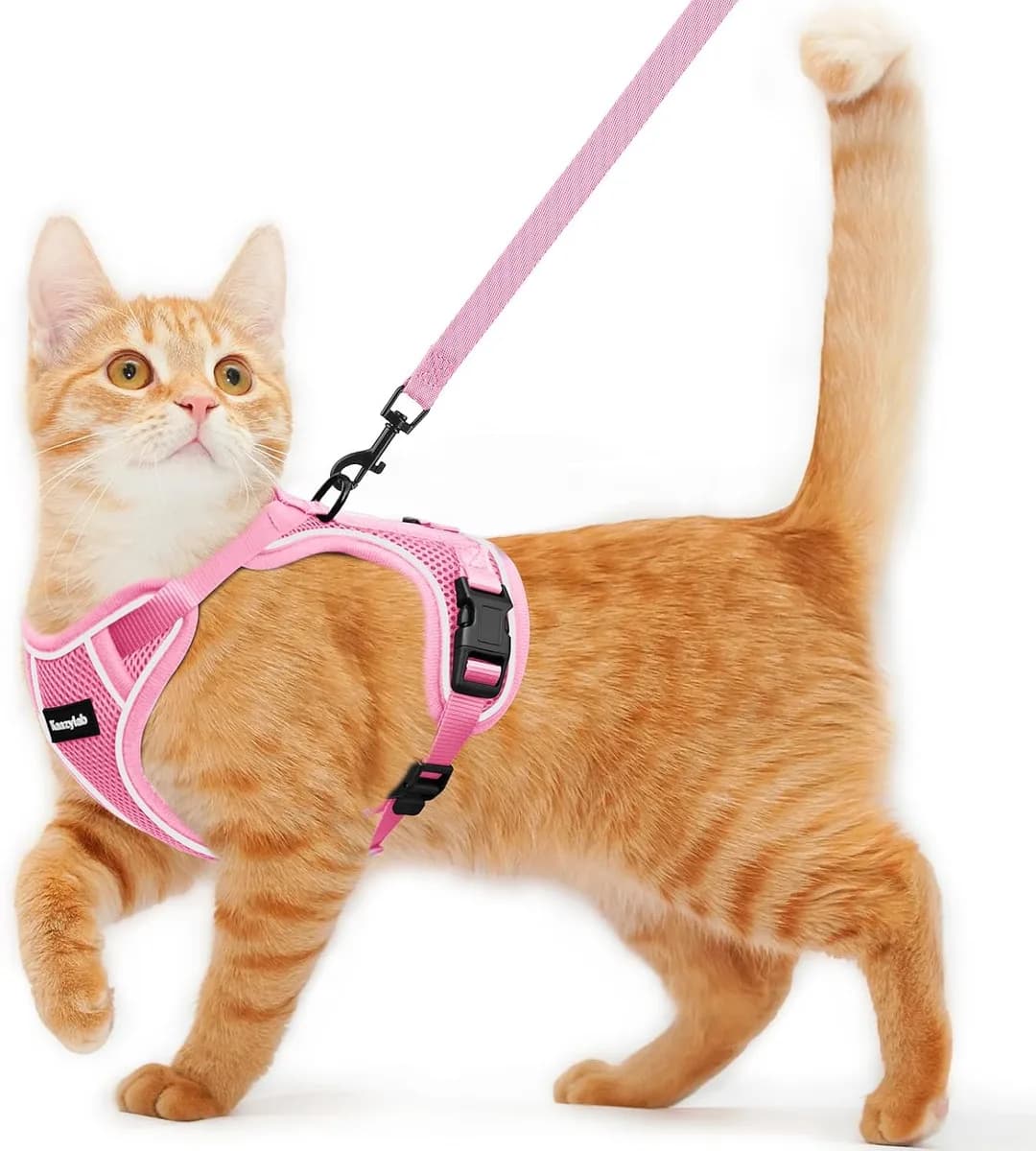 escape-proof cat harness and leash in pink