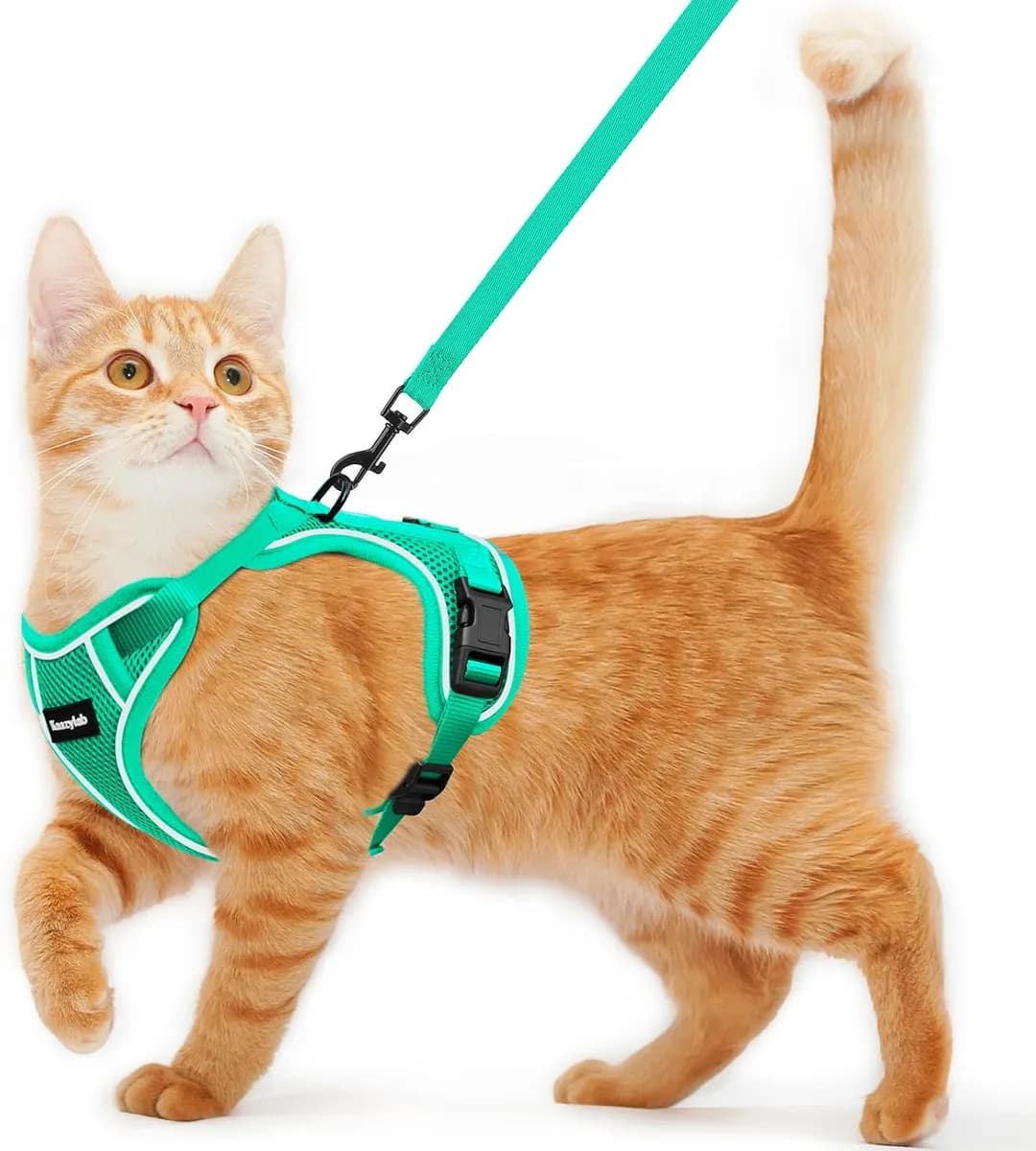 escape-proof cat harness and leash in emerald