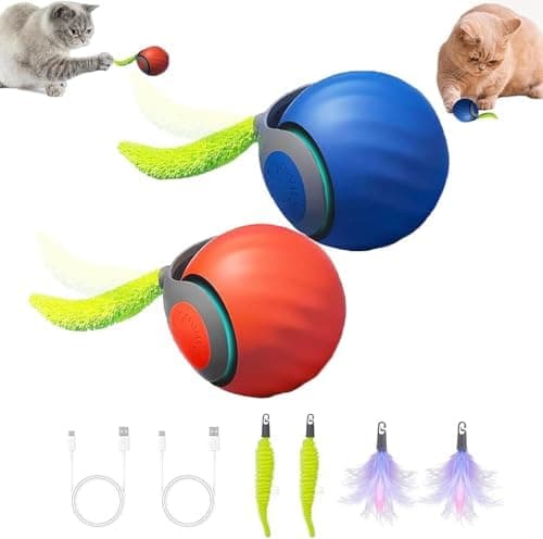 interactive cat toy