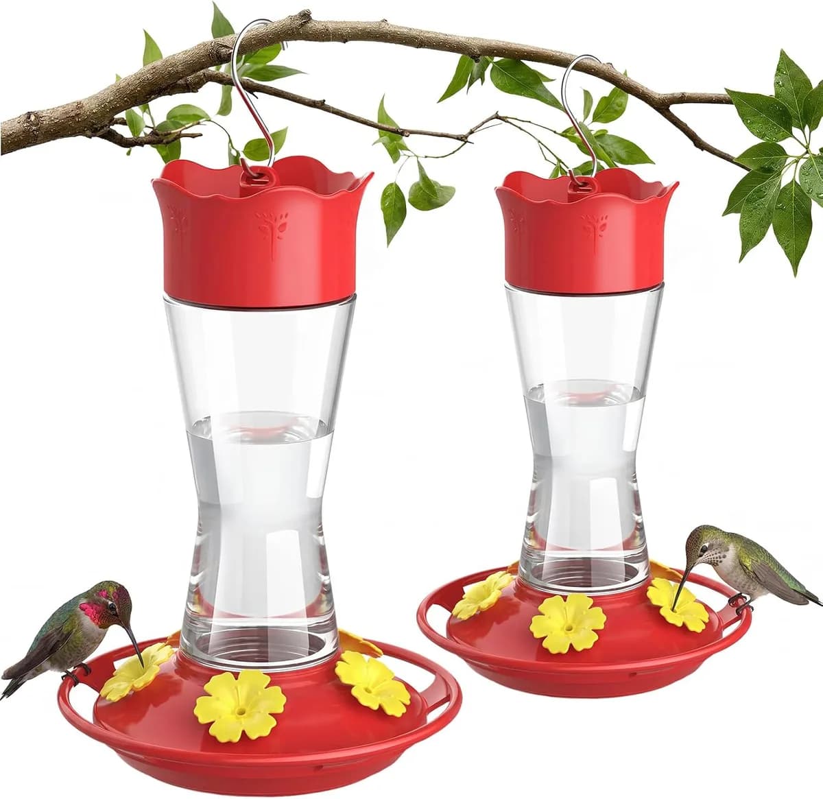 two glass hummingbird feeders hanging from a branch