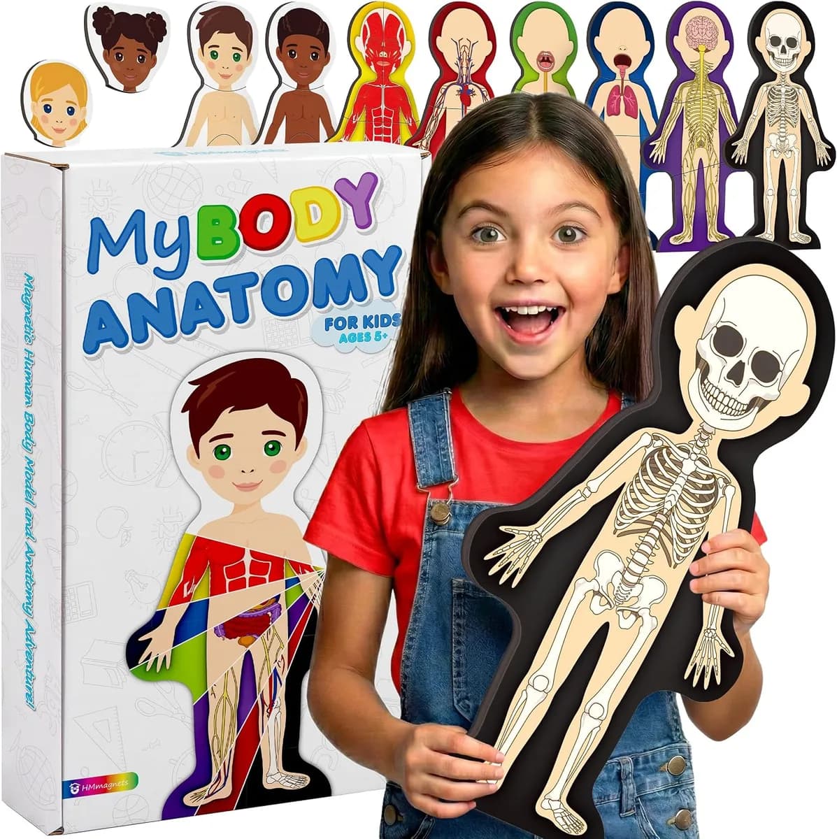 child holding a magnetic human body anatomy model for kids